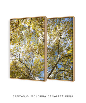Quadro Decorativo Galhos e Árvores - Dupla