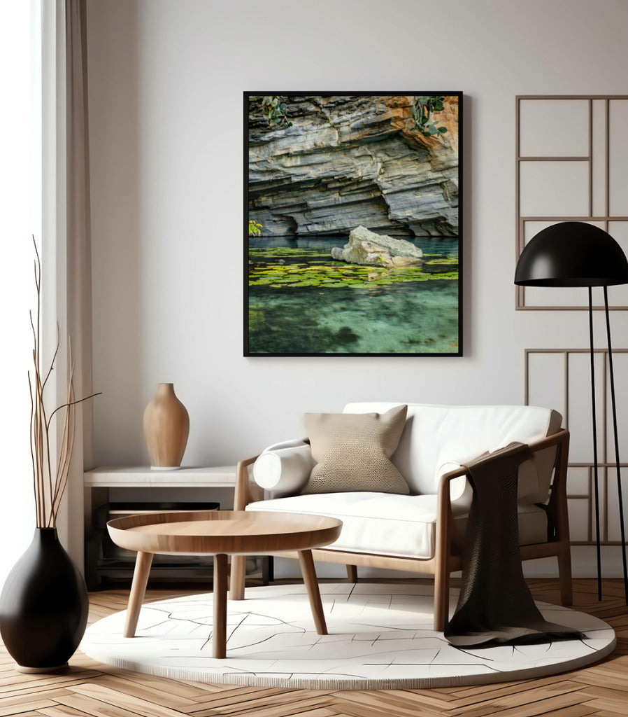 Quadro Decorativo Chapada Diamantina -Vitória Régia- Vertical