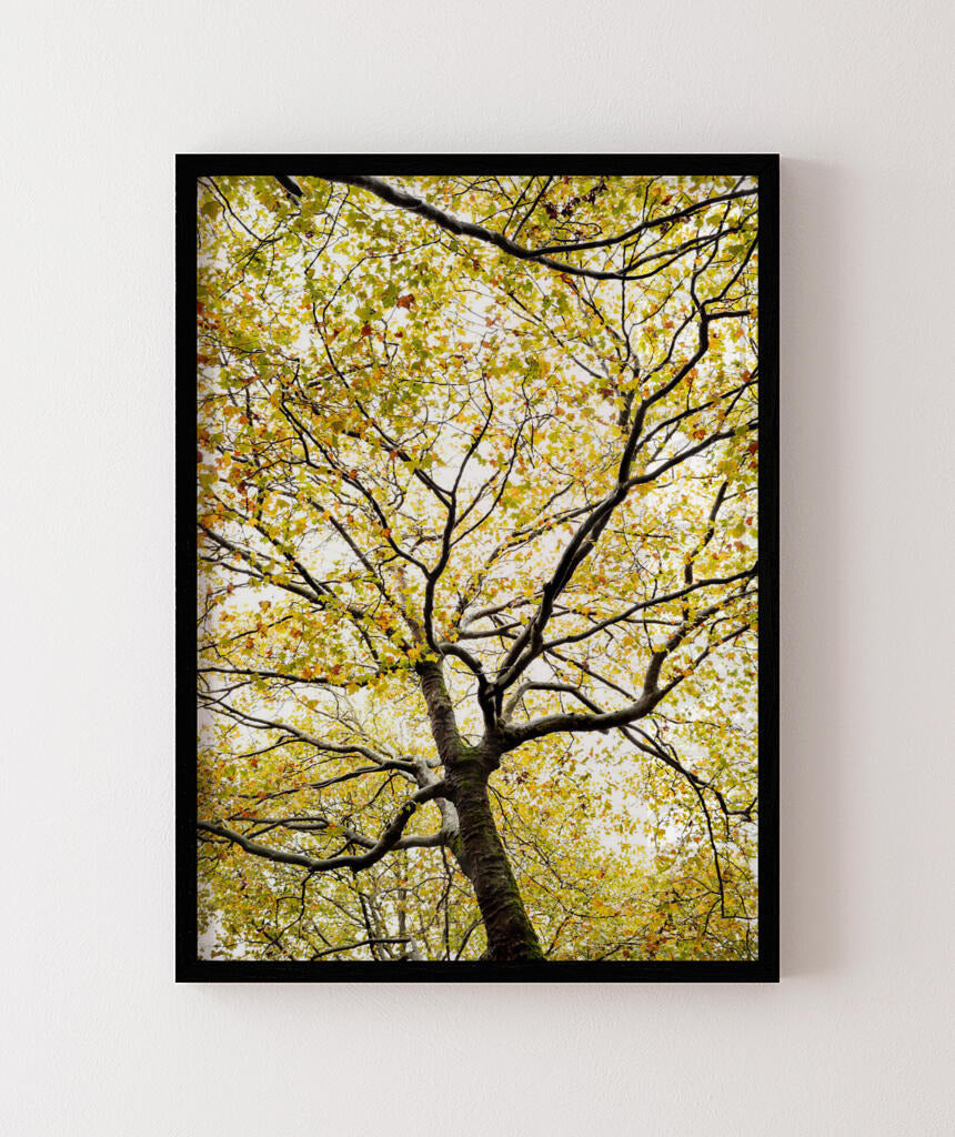 Quadro Decorativo Árvores e Galhos - Folhas verdes Vertical