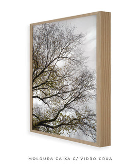 Quadro Decorativo Árvores e Galhos - Folhas secas Vertical