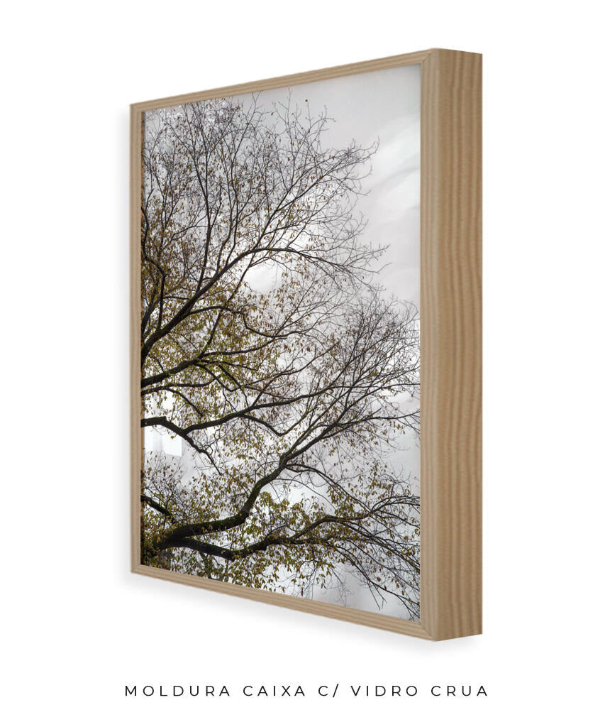 Quadro Decorativo Árvores e Galhos - Folhas secas Vertical