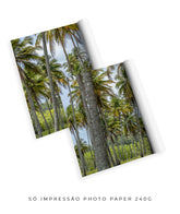 Quadro Decorativo Coqueiros Sépia -Dupla