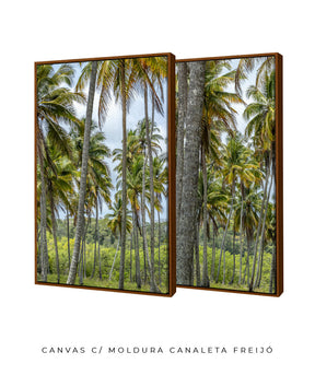 Quadro Decorativo Coqueiros Sépia -Dupla