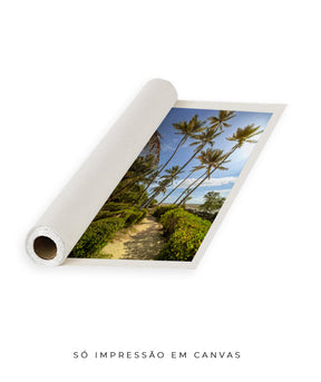 Quadro Decorativo Portais - Coqueiros