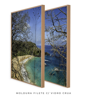 Quadro Decorativo Praia, Mar e Galhos Secos -Dupla