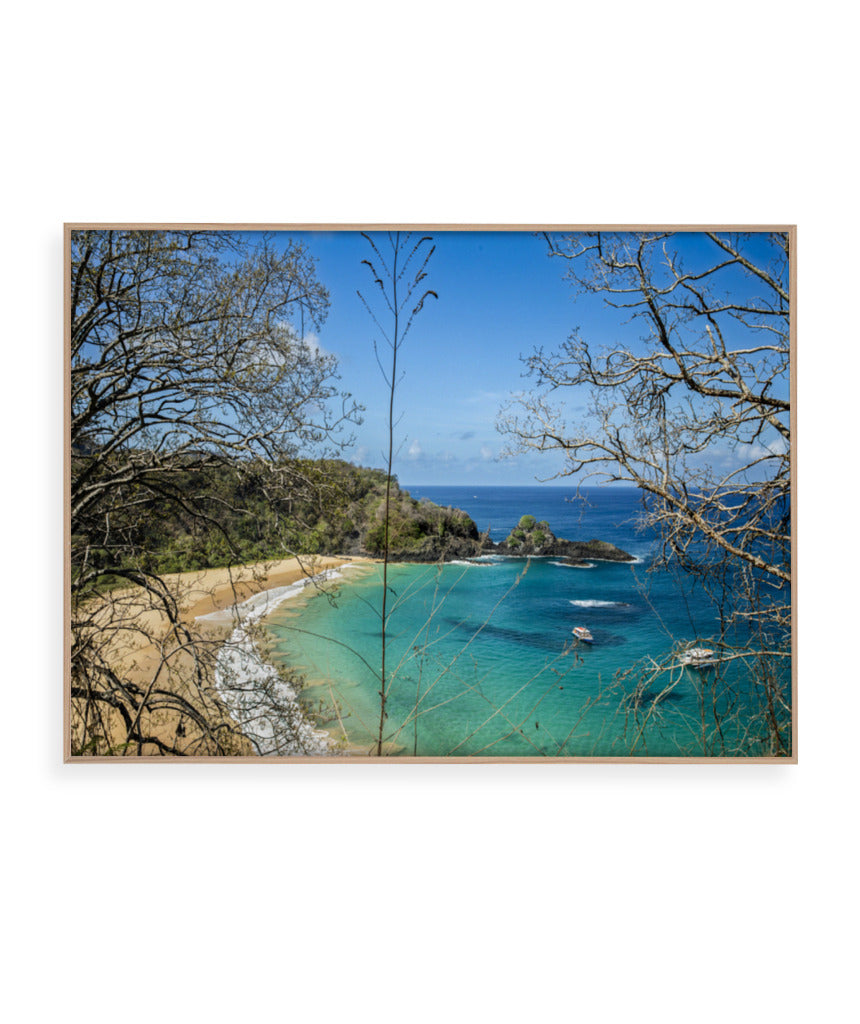 Quadro Decorativo Noronha - Praia, Mar e Galhos Secos - Horizontal