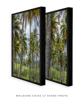 Quadro Decorativo Coqueiros Sépia -Dupla