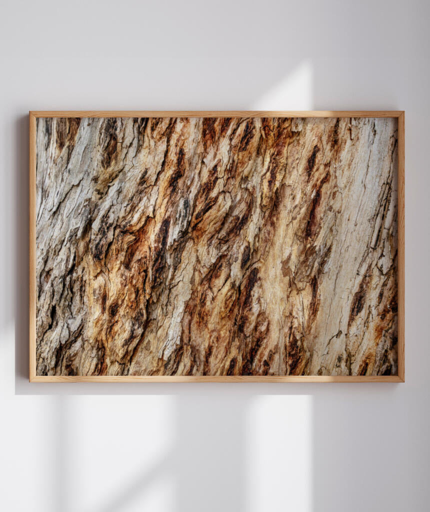 Quadro Decorativo Texturas - Madeira