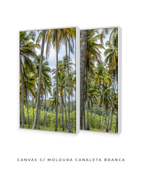 Quadro Decorativo Coqueiros Sépia -Dupla