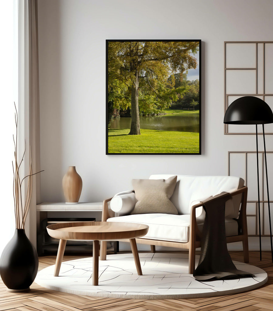 Quadro Decorativo Portais Natureza