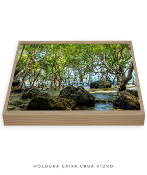 Quadro Decorativo Árvores e Galhos - Pedras e árvores