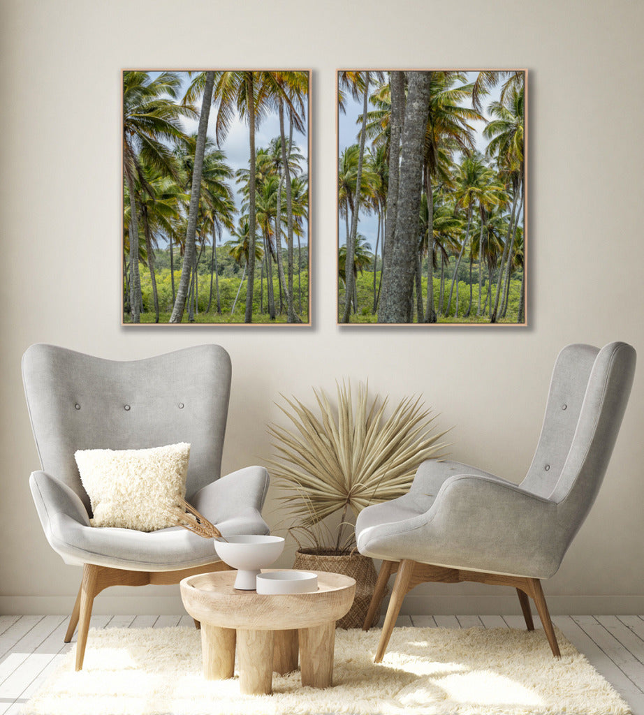 Quadro Decorativo Coqueiros Sépia -Dupla