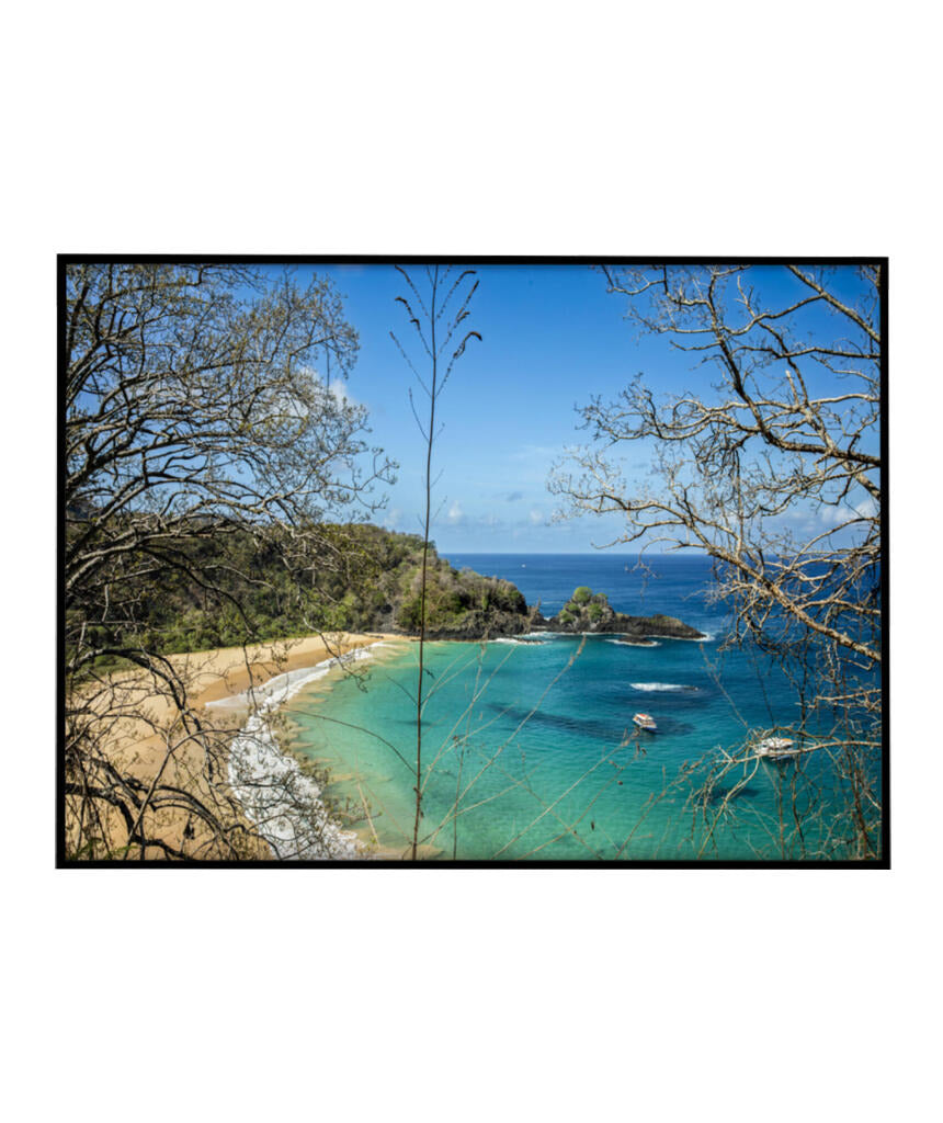 Quadro Decorativo Noronha - Praia, Mar e Galhos Secos - Horizontal