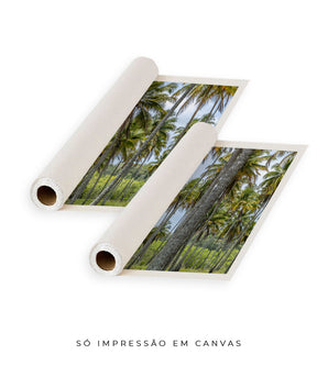 Quadro Decorativo Coqueiros Sépia -Dupla