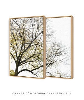 Quadro Decorativo Galhos Secos -Dupla