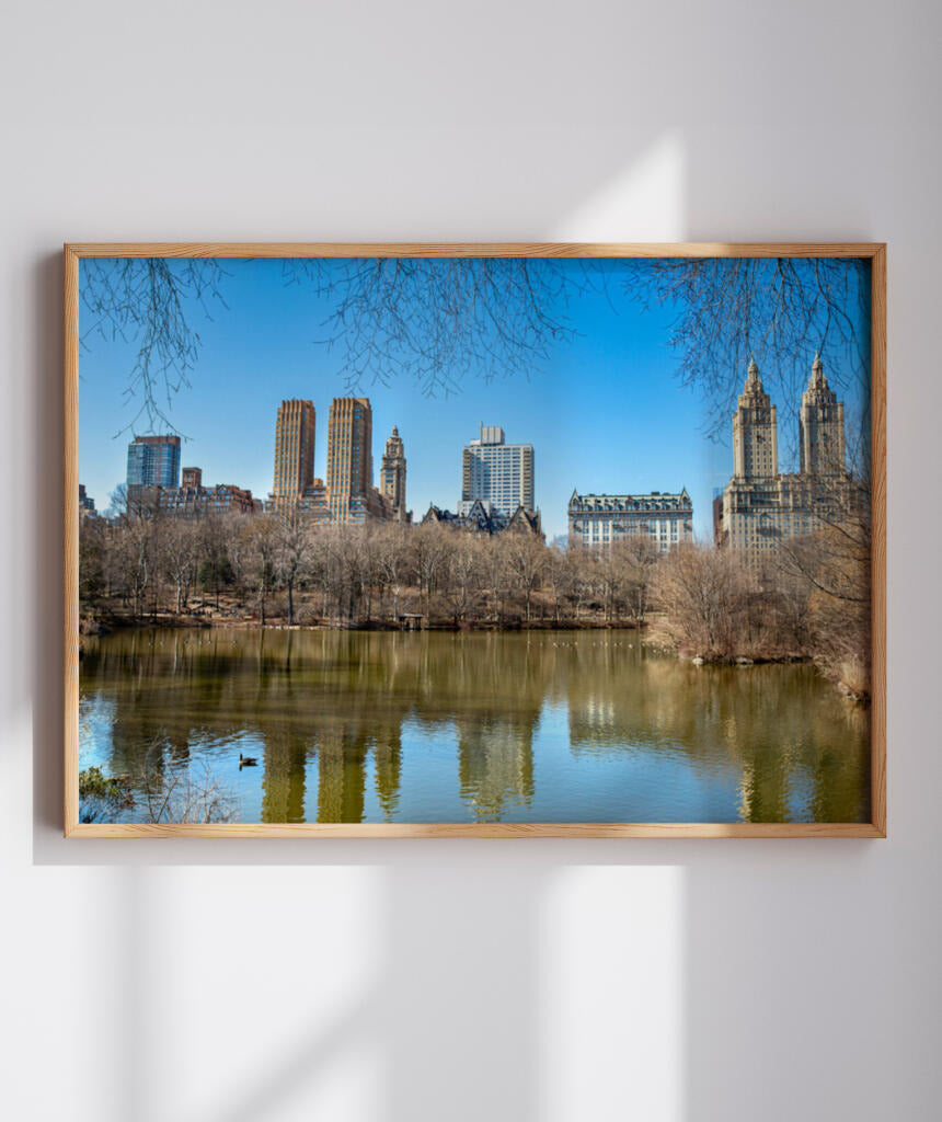 Quadro Decorativo Nova York - Prédios Central Park