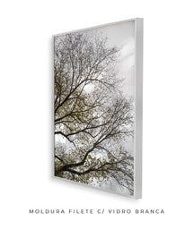 Quadro Decorativo Árvores e Galhos - Folhas secas Vertical