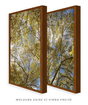 Quadro Decorativo Galhos e Árvores - Dupla