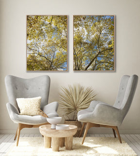 Quadro Decorativo Galhos e Árvores - Dupla