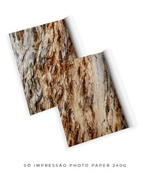 Quadro Decorativo Texturas - Madeira - Dupla