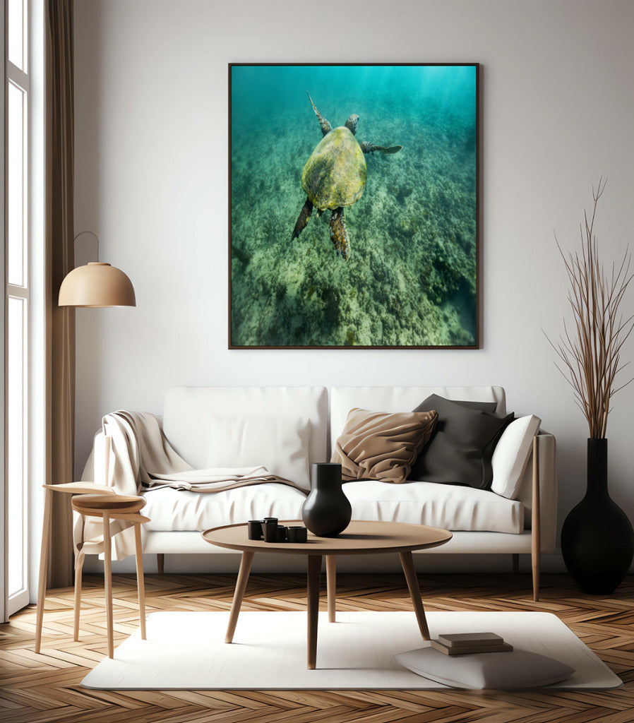 Quadro Decorativo Noronha - Tartaruga no Fundo do Mar