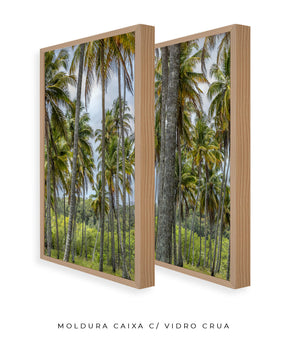 Quadro Decorativo Coqueiros Sépia -Dupla