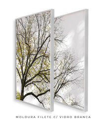 Quadro Decorativo Galhos Secos -Dupla