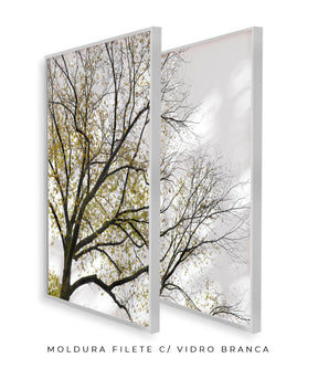 Quadro Decorativo Galhos Secos -Dupla