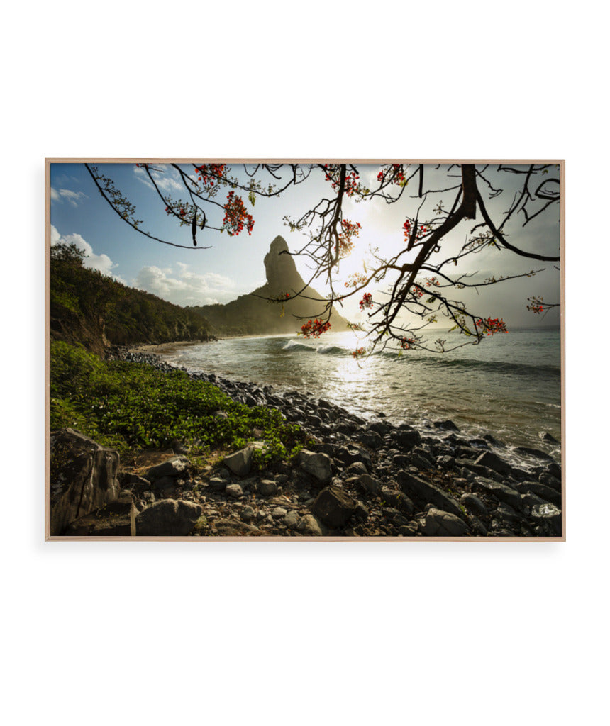 Quadro Decorativo Pôr do Sol e Galhos Secos - Horizontal