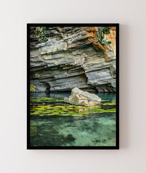Quadro Decorativo Chapada Diamantina -Vitória Régia- Vertical