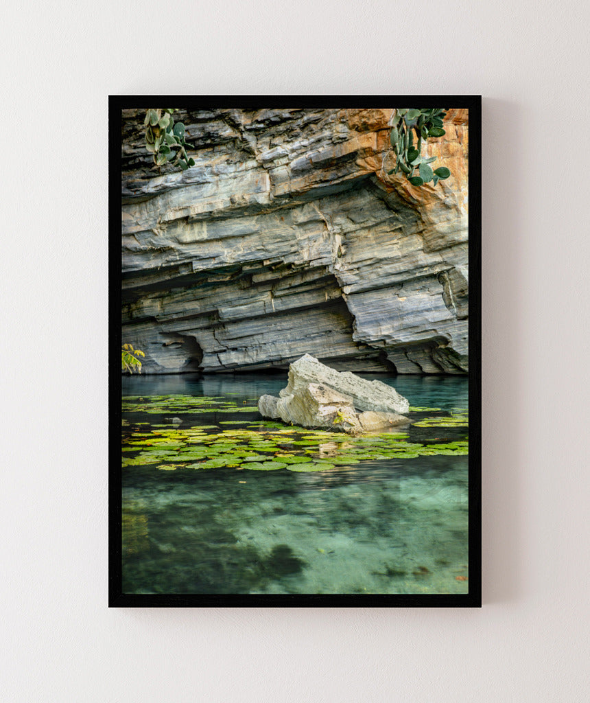 Quadro Decorativo Chapada Diamantina -Vitória Régia- Vertical