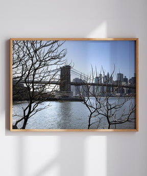 Quadro Decorativo Lago de Nova York