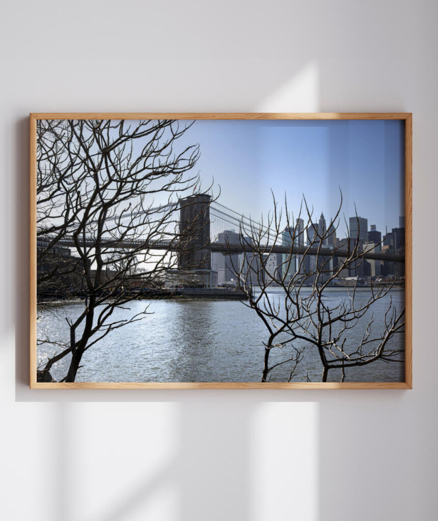 Quadro Decorativo Lago de Nova York