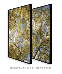 Quadro Decorativo Galhos e Árvores - Dupla