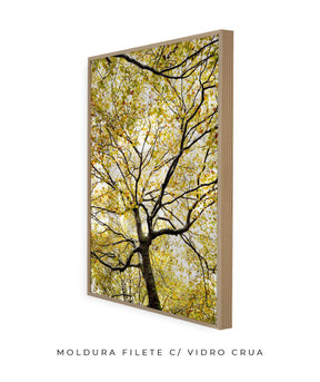 Quadro Decorativo Árvores e Galhos - Folhas verdes Vertical