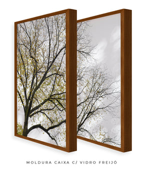 Quadro Decorativo Galhos Secos -Dupla