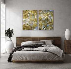 Quadro Decorativo Galhos e Árvores - Dupla