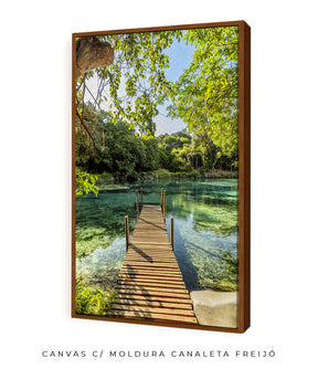 Quadro Decorativo  Chapada Diamantina - Ponte para Paraíso-Vertical