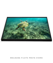 Quadro Decorativo Noronha - Tartaruga no Fundo do Mar