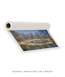 Quadro Decorativo Ponte e Lago de Nova York - Horizontal