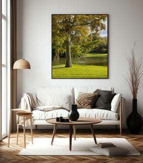 Quadro Decorativo Portais Natureza