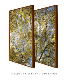 Quadro Decorativo Galhos e Árvores - Dupla