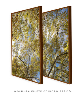 Quadro Decorativo Galhos e Árvores - Dupla