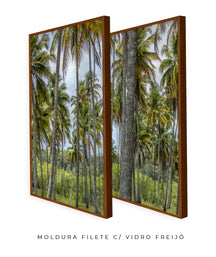 Quadro Decorativo Coqueiros Sépia -Dupla
