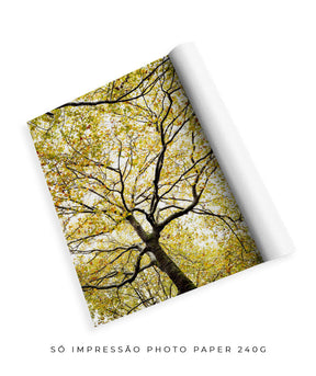 Quadro Decorativo Árvores e Galhos - Folhas verdes Vertical