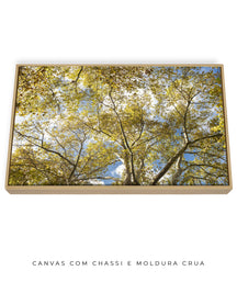 Quadro Decorativo Galhos e Árvores - Horizontal