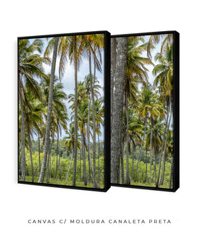 Quadro Decorativo Coqueiros Sépia -Dupla