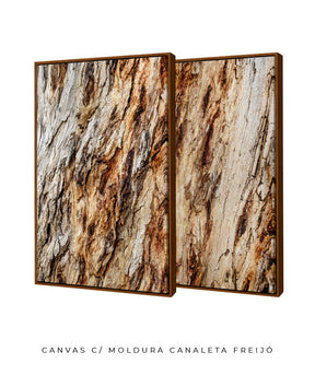 Quadro Decorativo Texturas - Madeira - Dupla