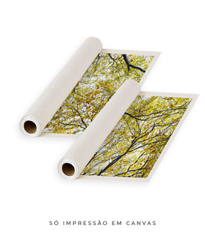 Quadro Decorativo Árvore com Galhos Verdes-Dupla