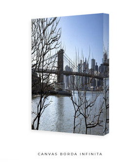 Quadro Decorativo Lago de Nova York